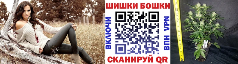 darknet телеграм  Новосиль  Бошки марихуана тримм 