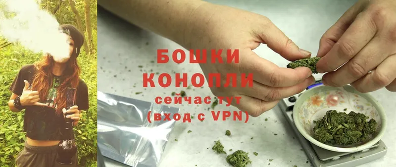 Бошки Шишки THC 21%  Новосиль 